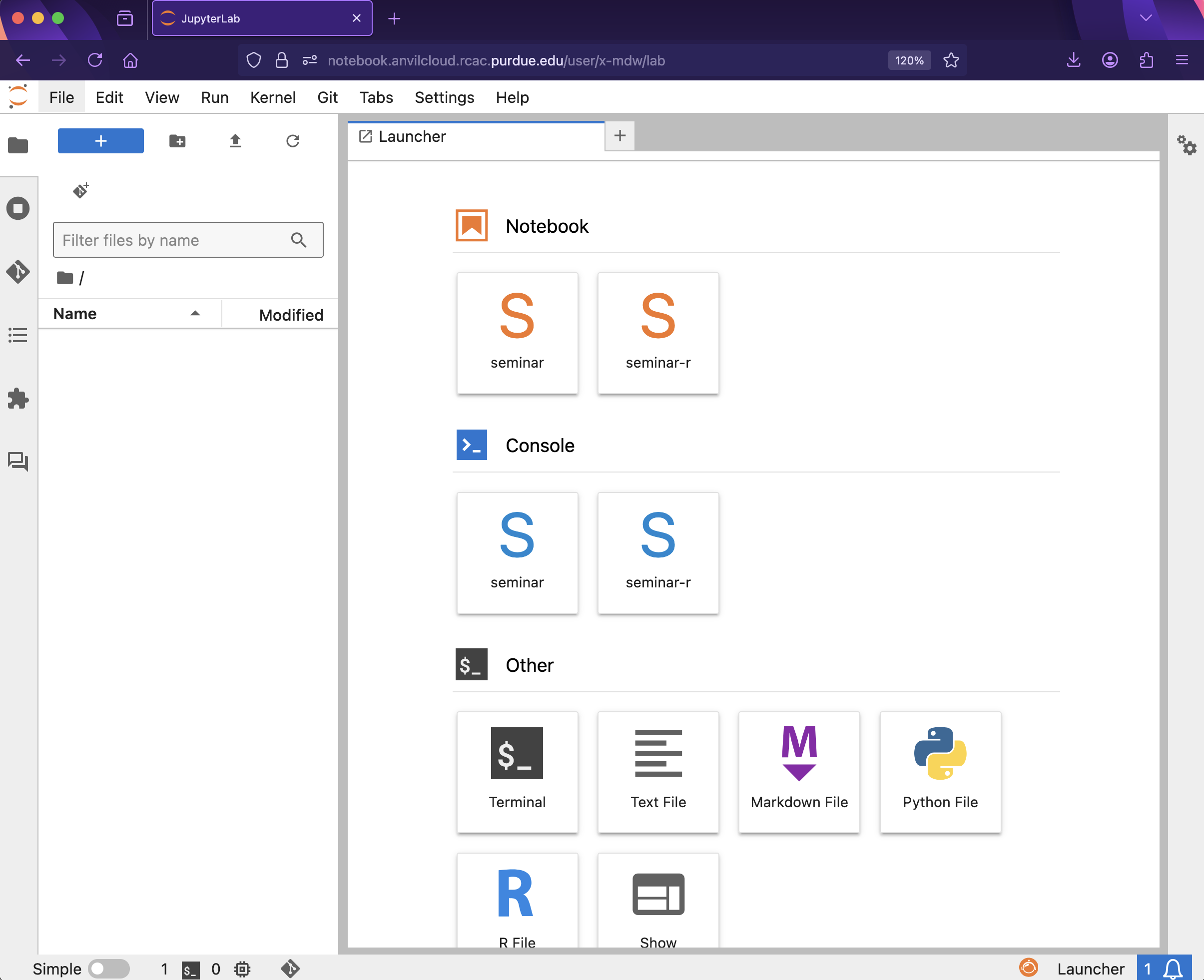 Jupyter Lab interface